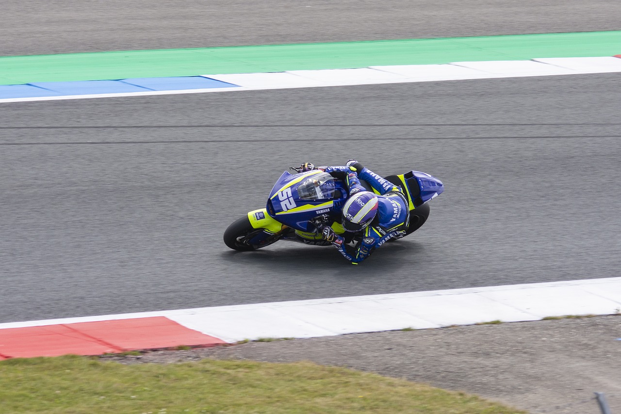 在逆转的过 在逆转的过