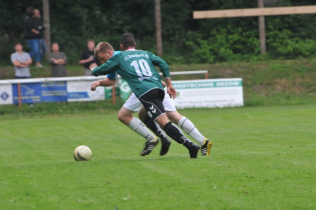 体育强国的 体育强国的