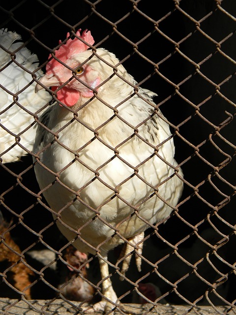 這些不僅是 這些不僅是