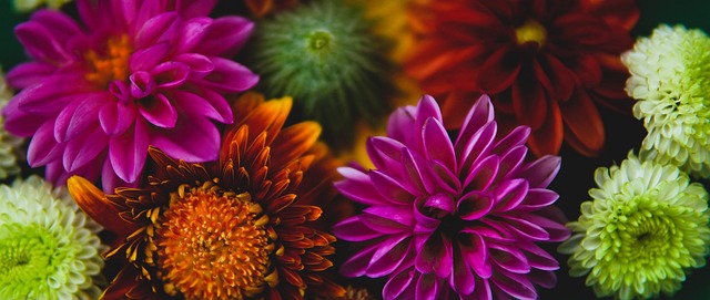 的惊人逆袭 的惊人逆袭