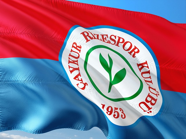 队防守体系 队防守体系