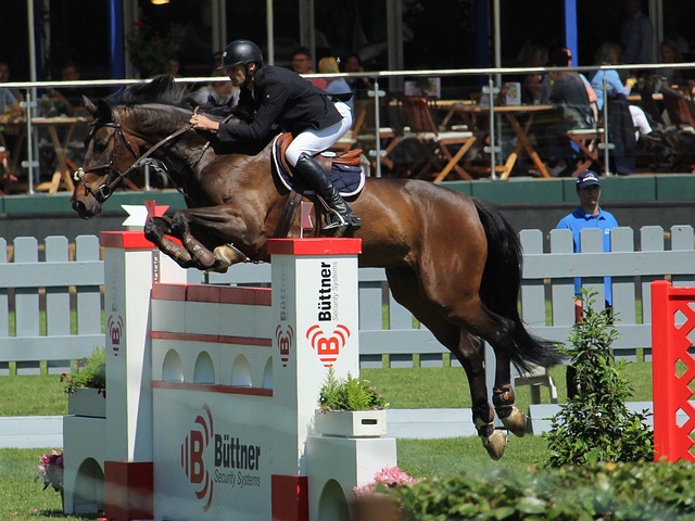 众的空中优 众的空中优