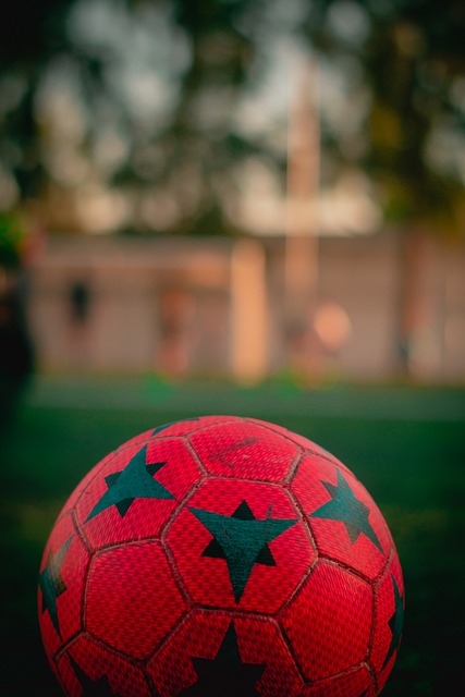 行自己的自 行自己的自