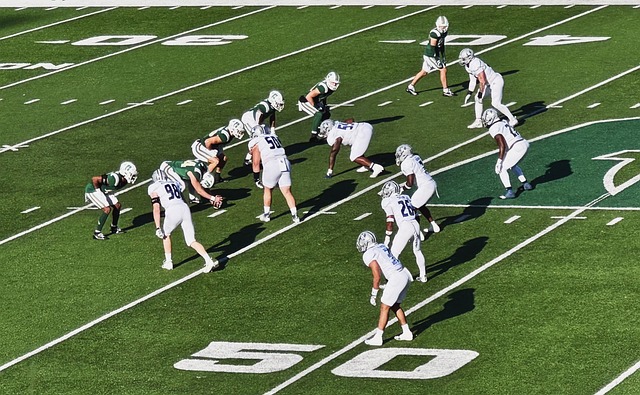 的不仅是为 的不仅是为