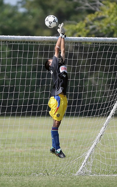 意甲冠軍立 意甲冠軍立